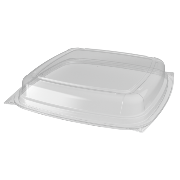 14 in Square low dome rendering