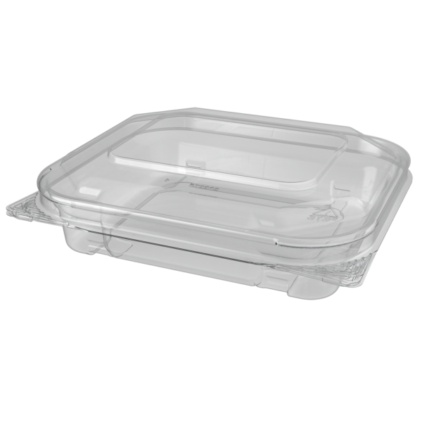 6x5 Hinged Container High rendering