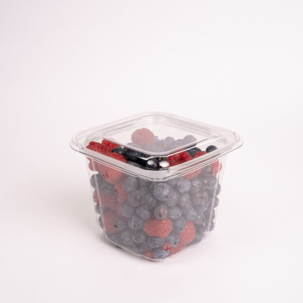 24 oz sq hinge te 1600 x 1600