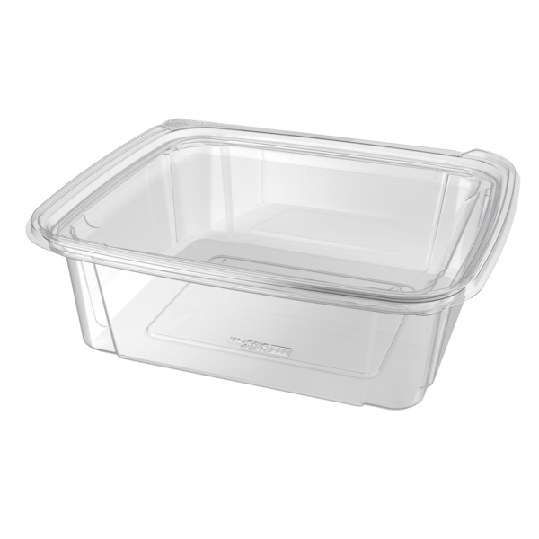 28 oz Hinged Container TE