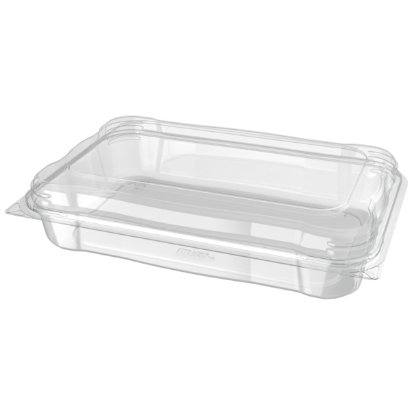 6x9 Low Hinged Container-medium